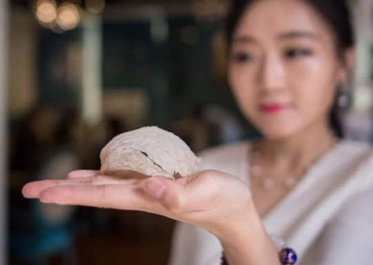 Loại “siêu thực phẩm” của Việt Nam, dân Trung rỉ tai nhau “săn lùng” rất nhiều, chi tới hàng ngàn tỷ mua ăn