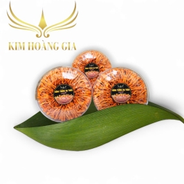 Đông trùng hạ thảo loại 30g cao cấp
