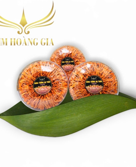 Đông trùng hạ thảo loại 30g cao cấp