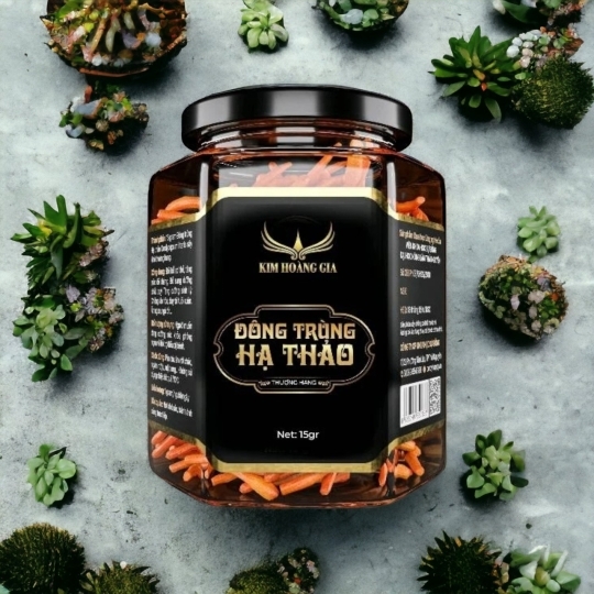 Đông trùng hạ thảo thượng hạng ( sấy thăng hoa ) hộp đôi