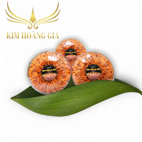 Đông trùng hạ thảo loại 30g cao cấp
